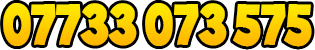 07733 073 575